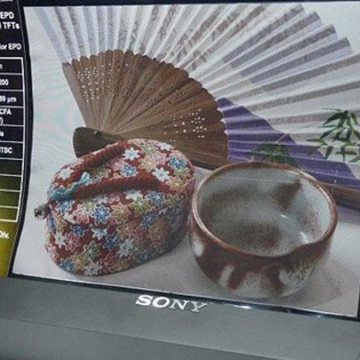 Sony-da-un-paso-mas-y-fabrica-una-pantalla-3D-Flexible-MN.jpg