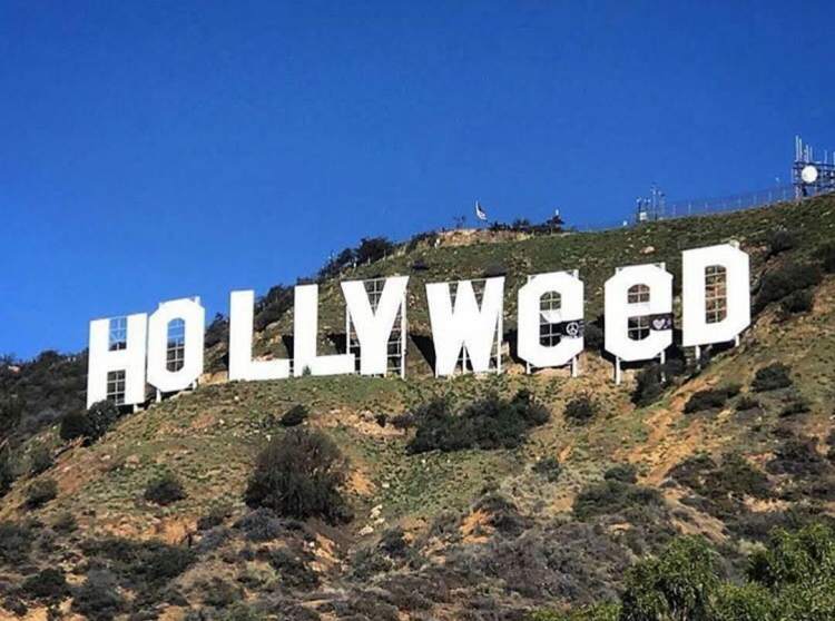 Unos bromistas convierten Hollywood en 'Hollyweed'