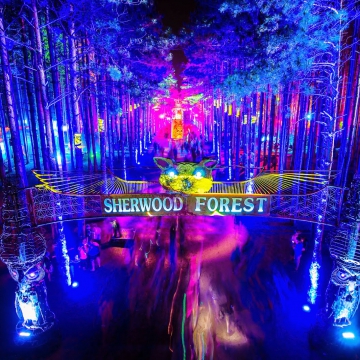 electric forest.jpg