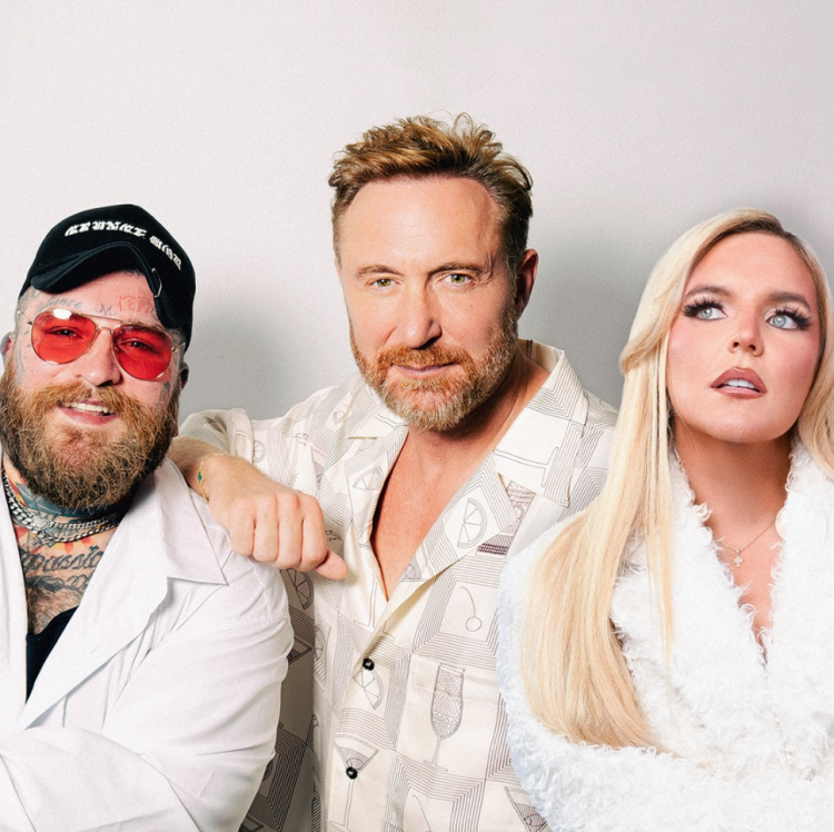 David Guetta, récord en Billboard con 'Gone, gone, gone'